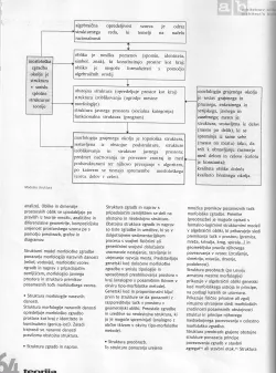 Ilka Čerpes - Strukturni pristop k urbanističnemu načrtovanju